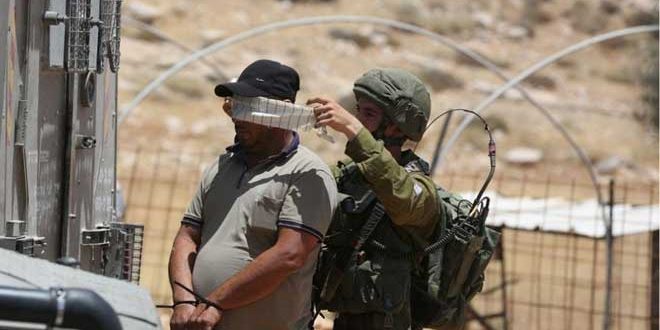 Five Palestinians arrested in the West Bank