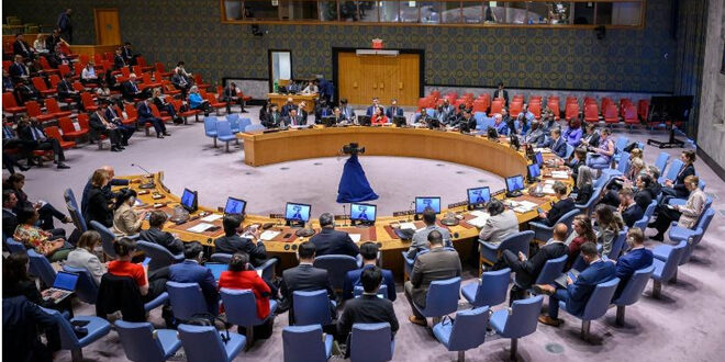 Arab Group at UN condemns Israeli aggression on Syria