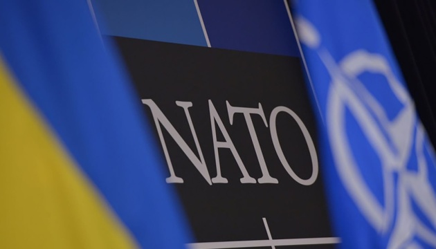 Joining NATO without occupied areas off table - Ukraine’s Vice PM