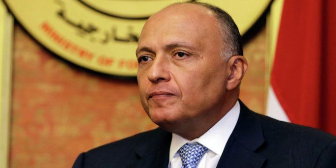 Egyptian Minister underlines importance of combating terrorism in Syria