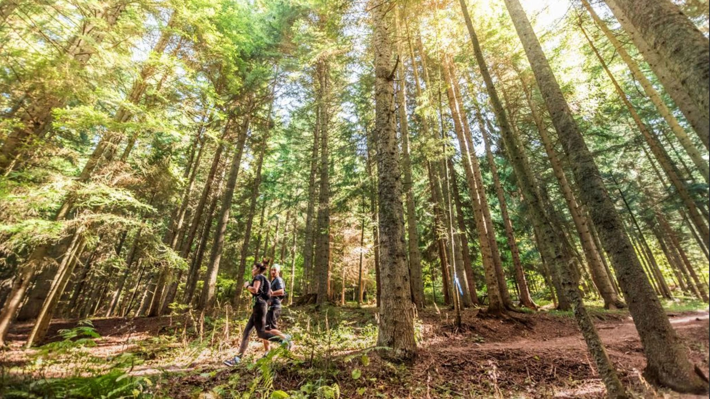 IOC launches 2025 edition of IOC Climate Action Awards